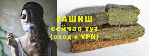прущие грибы Аркадак