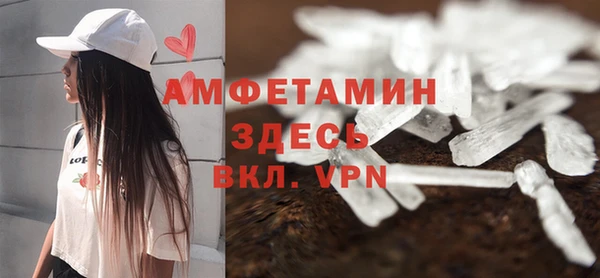 прущие грибы Аркадак