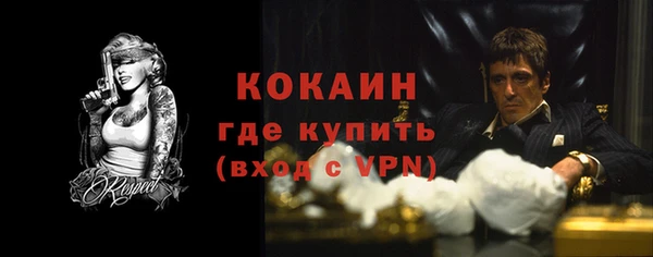 молекула духа Арсеньев