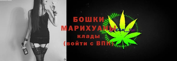 молекула духа Арсеньев