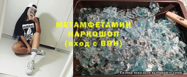 прущие грибы Аркадак