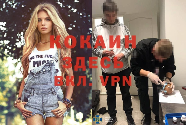 прущие грибы Аркадак