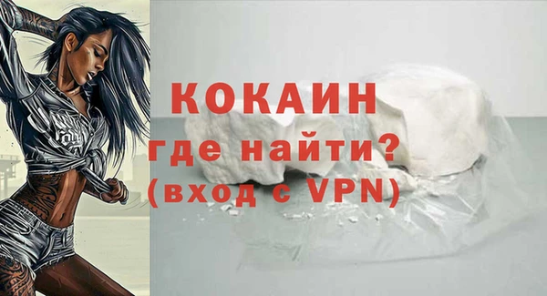 прущие грибы Аркадак